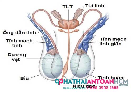 địa chỉ phòng khám nam khoa quận 4 uy tín nhất 