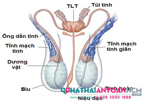 Phong kham nam khoa quan 1